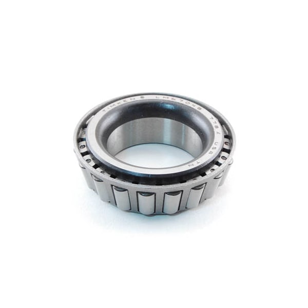 Cone-Bearing